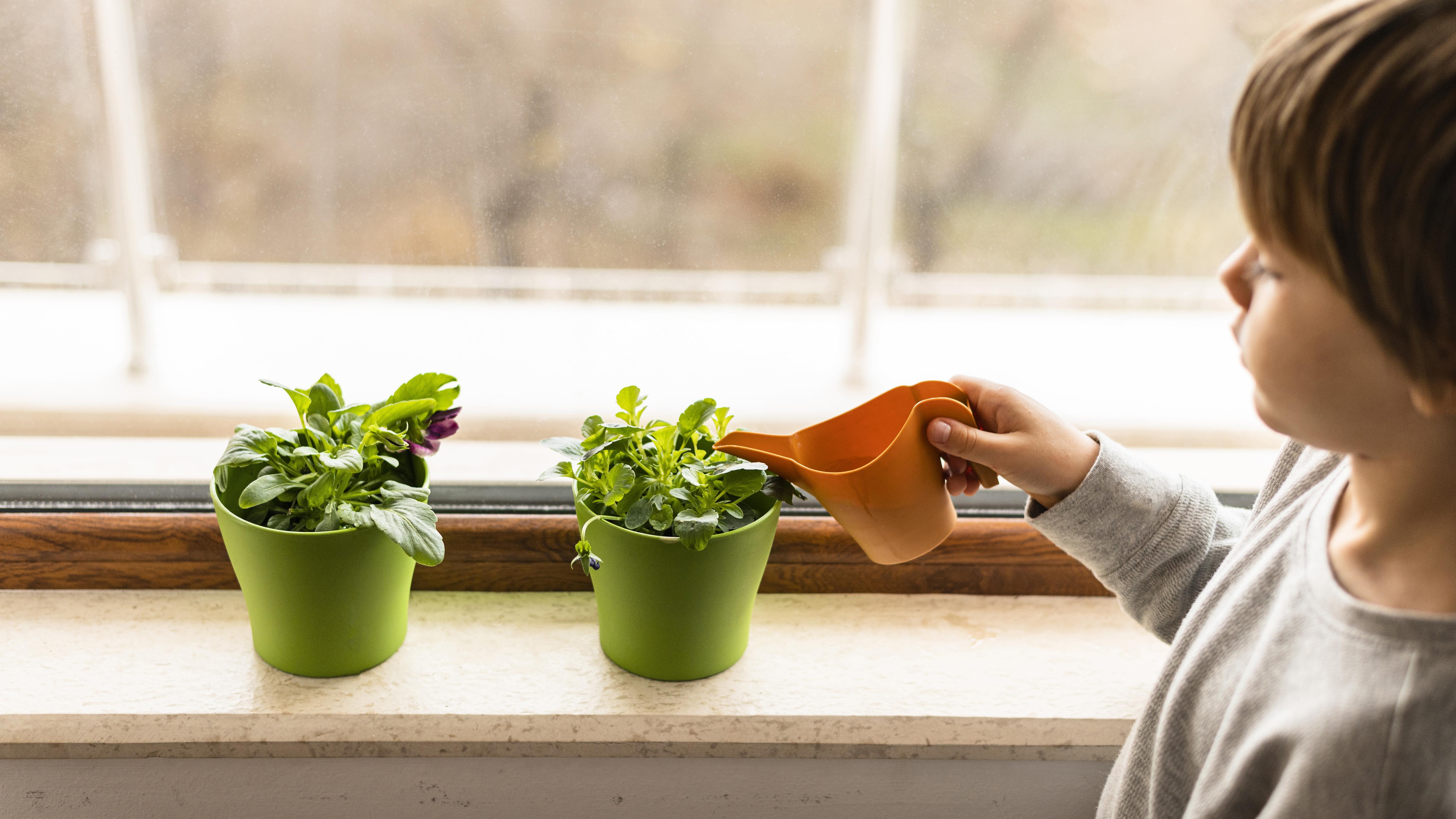 little-kid-watering-plants-by-window